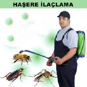 Çamoluk Böcek İlaçlama